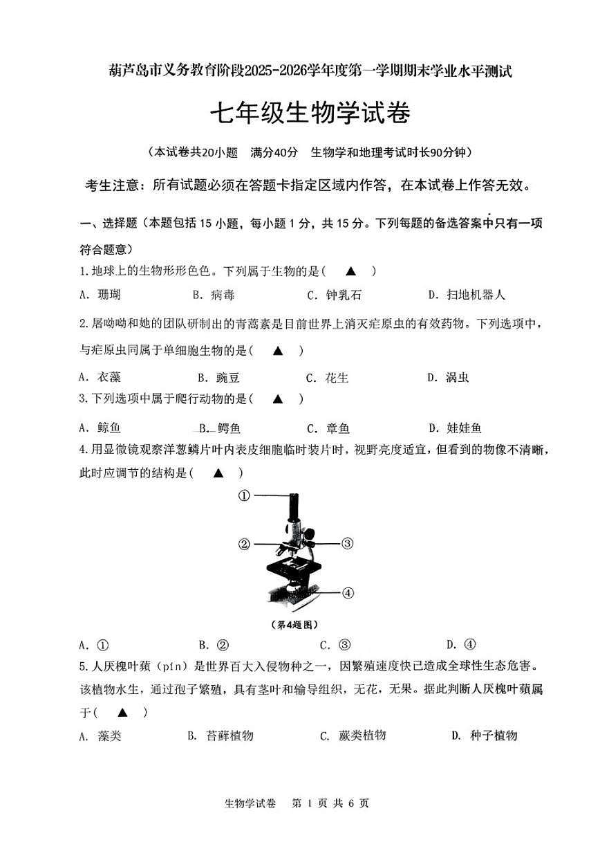 2025-2026学年辽宁省葫芦岛市第一学期七年级生物学期末（含答案）试卷第1页