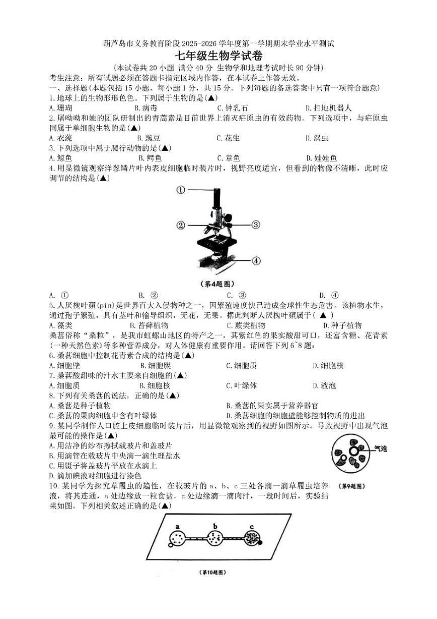 2025-2026学年辽宁省葫芦岛市七年级上学期期末生物（含答案）试卷第1页