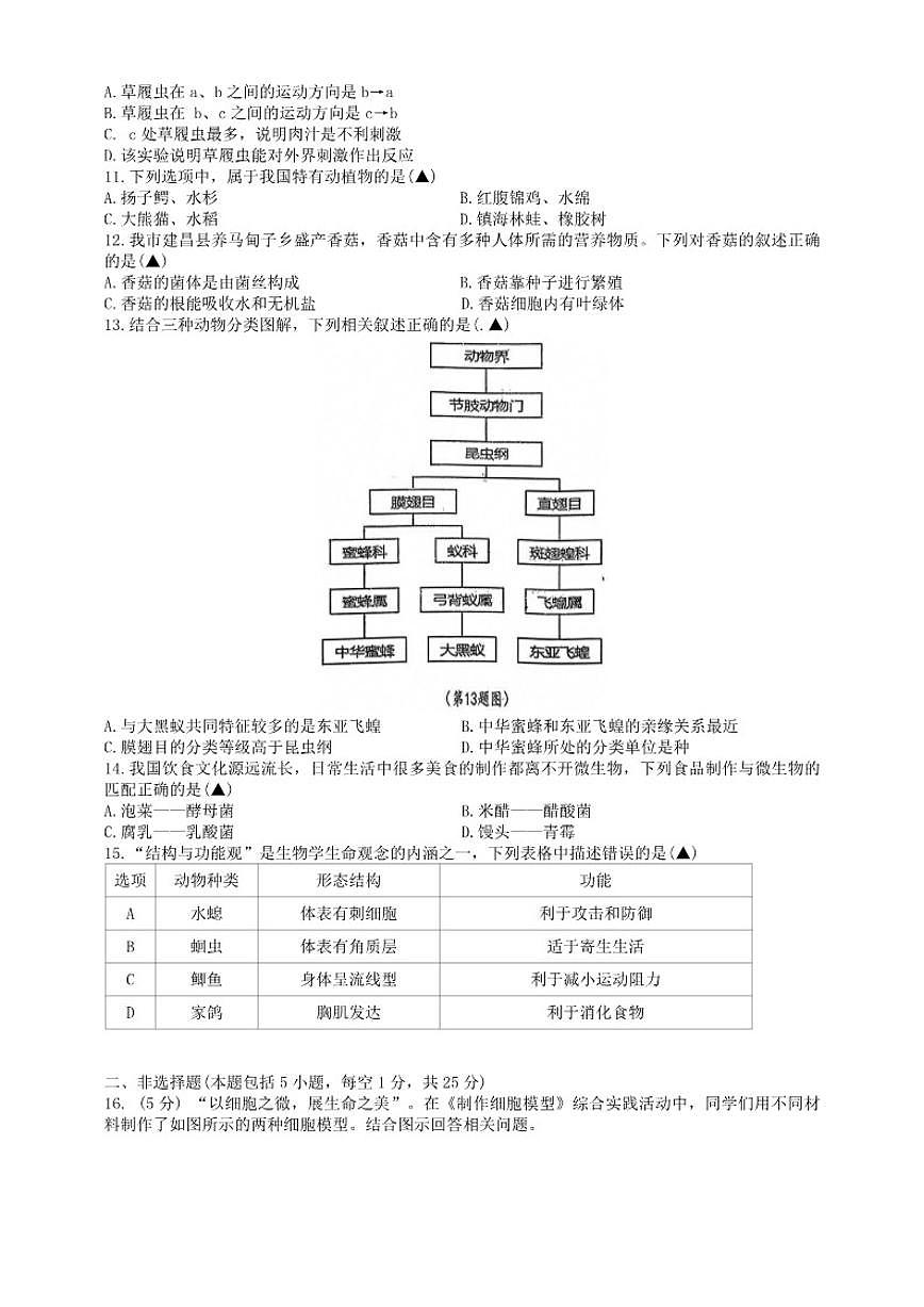 2025-2026学年辽宁省葫芦岛市七年级上学期期末生物（含答案）试卷第2页