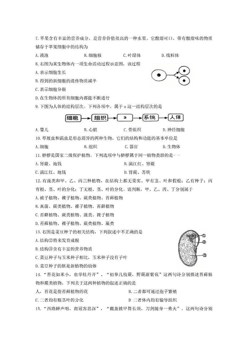 2025-2026学年福建省漳州市芗城区第五中学七年级上学期1月月考生物试题_(含答案_)第2页