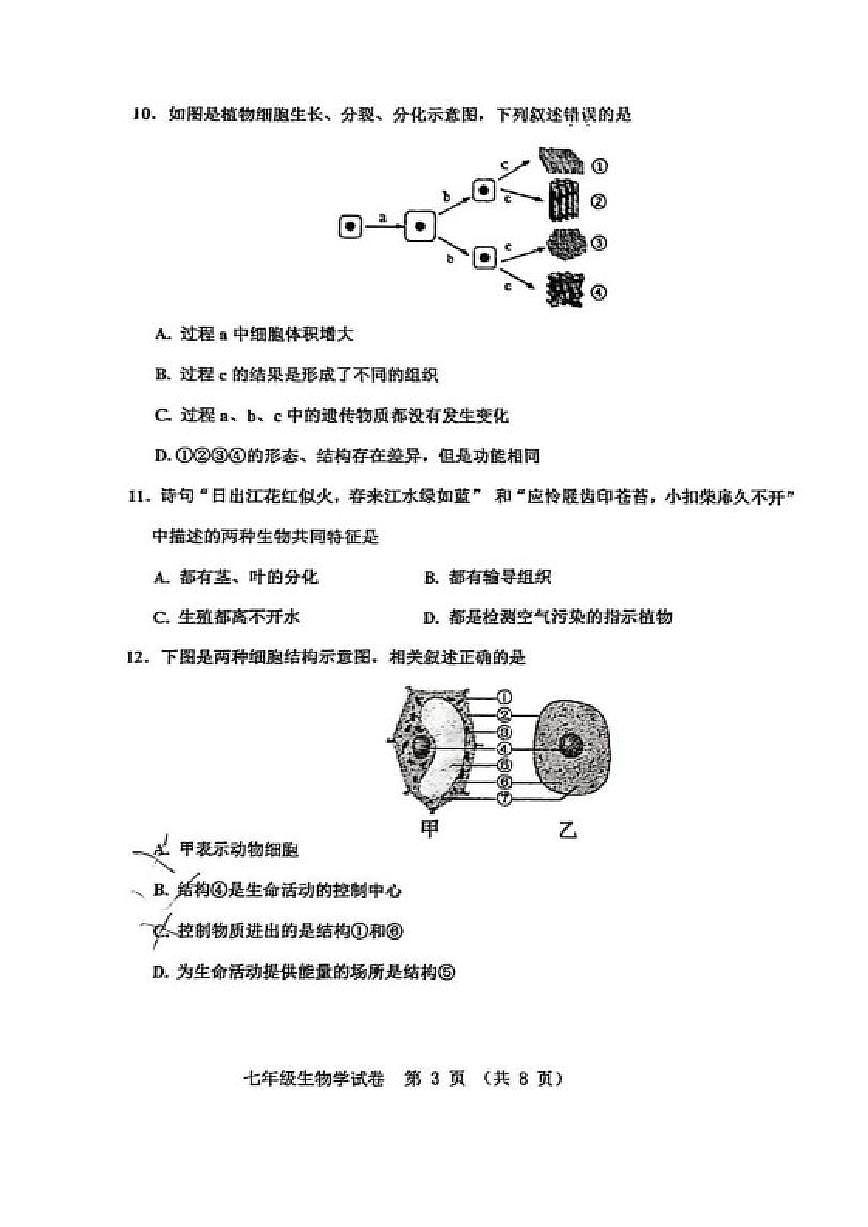 2025-2026学年辽宁省阜新市太平区七年级上学期1月期末考试生物_(含答案_)试卷第3页