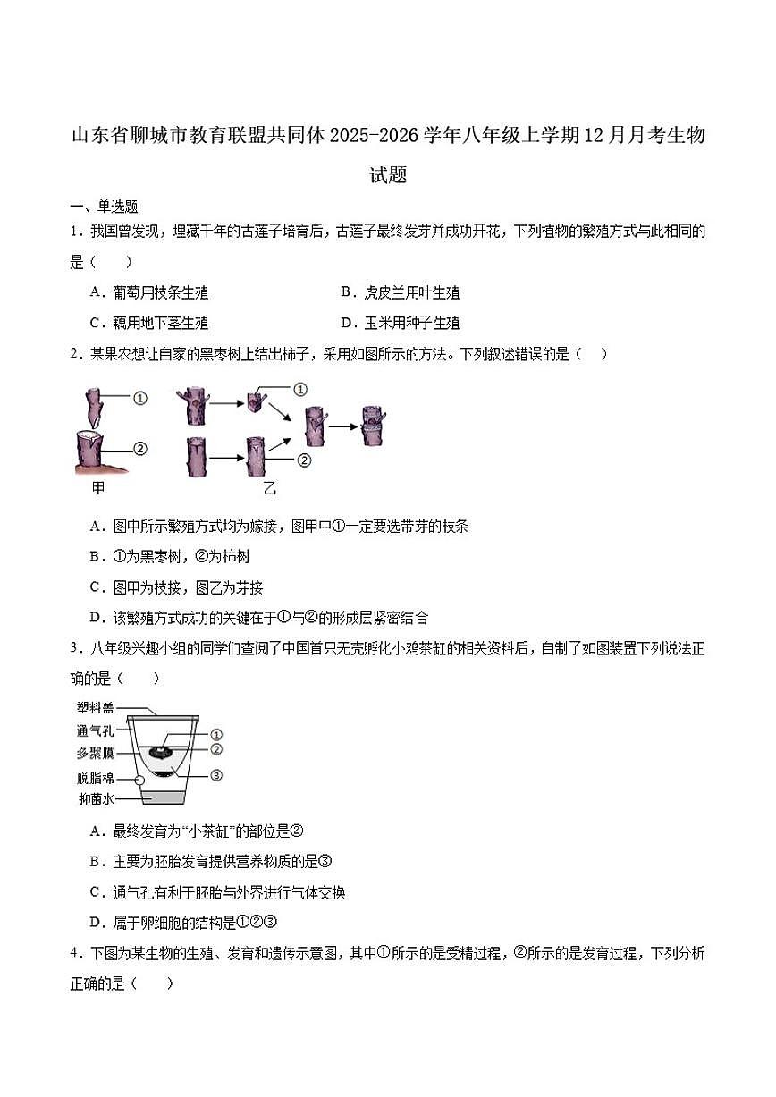 2025-2026学年山东省聊城市教育联盟共同体八年级上学期12月月考生物（含答案）试卷第1页
