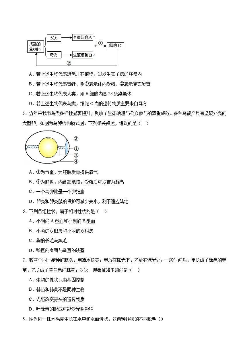 2025-2026学年山东省聊城市教育联盟共同体八年级上学期12月月考生物（含答案）试卷第2页