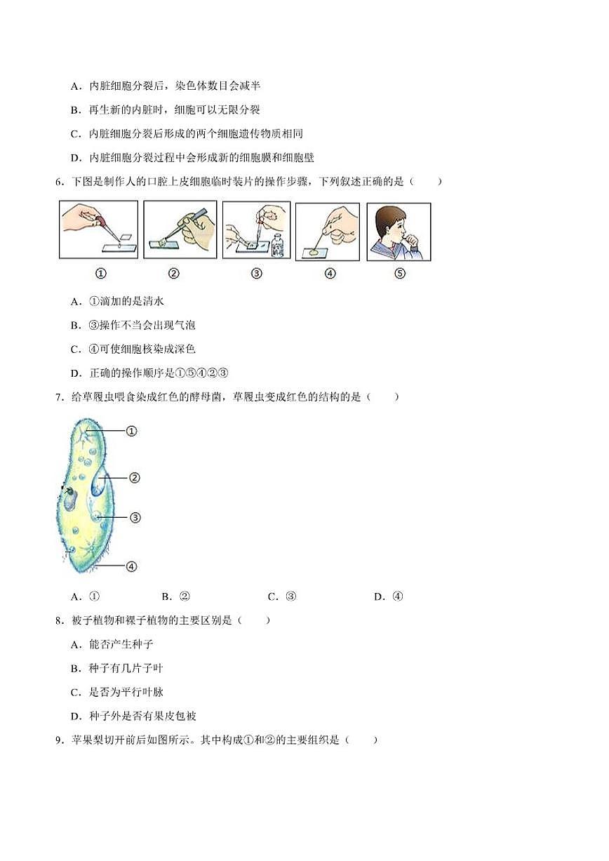 2025-2026学年吉林省延边朝鲜族自治州七年级上学期期末考试生物（含答案）试卷第2页