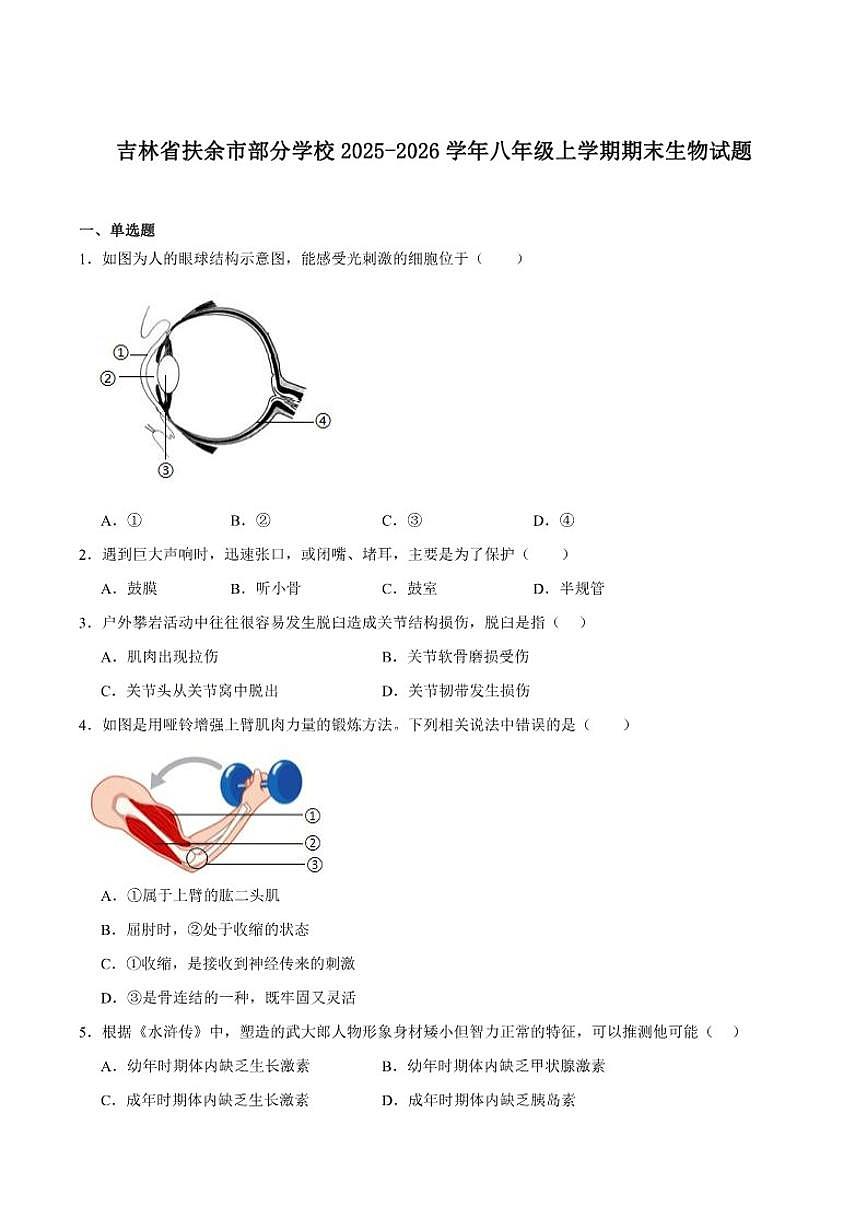 2025-2026学年吉林省松原市扶余市部分学校八年级上学期12月期末测试生物（含答案）试卷第1页