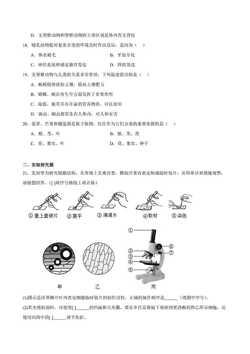 2025-2026学年吉林省四平市铁西区七年级上学期期末考试生物（含答案）试卷第3页