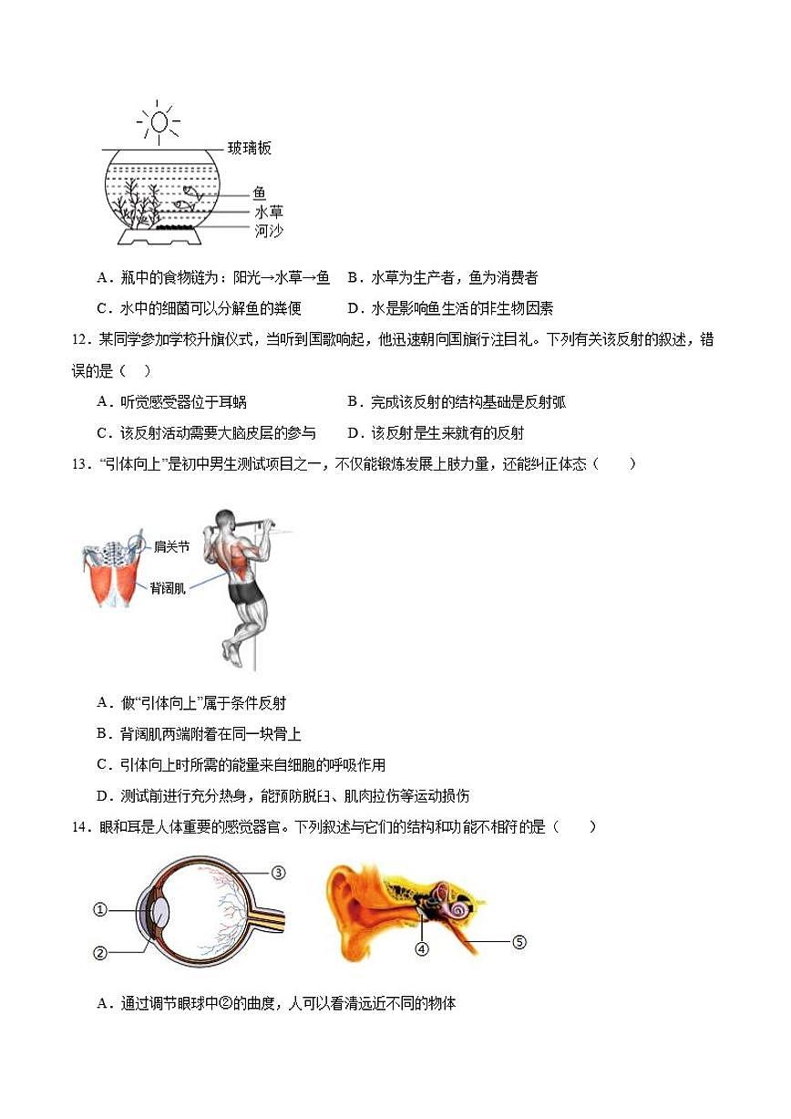 2025-2026学年吉林省白城市通榆县八年级上学期12月期末考试生物（含答案）试卷第3页