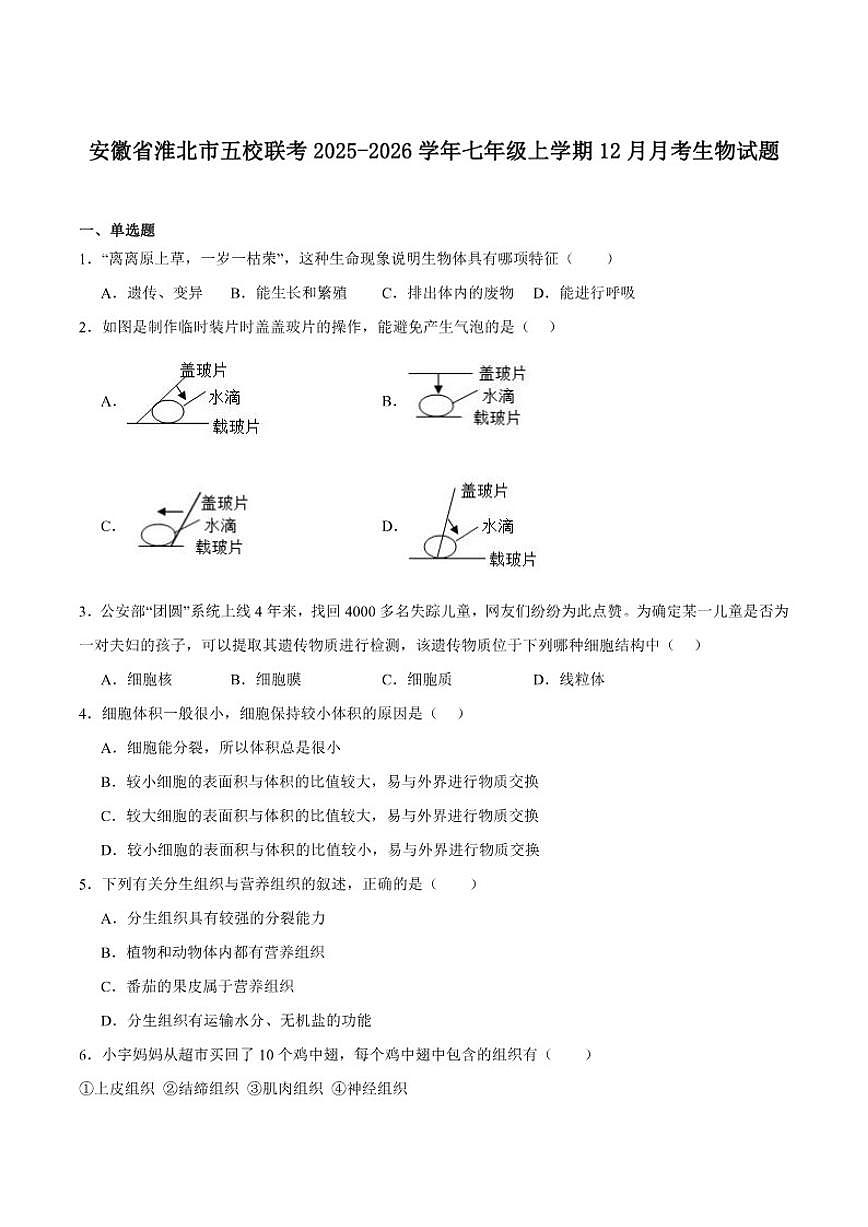 2025-2026学年安徽省淮北市五校联考七年级上学期12月月考生物（含答案）试卷第1页