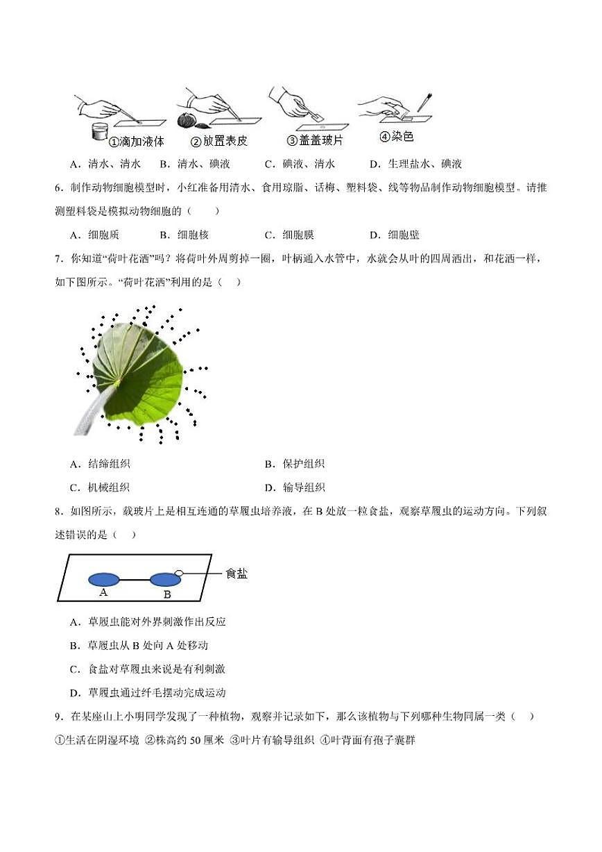 2025-2026学年吉林省四平市伊通满族自治县七年级上学期期末考试生物（含答案）试卷第2页