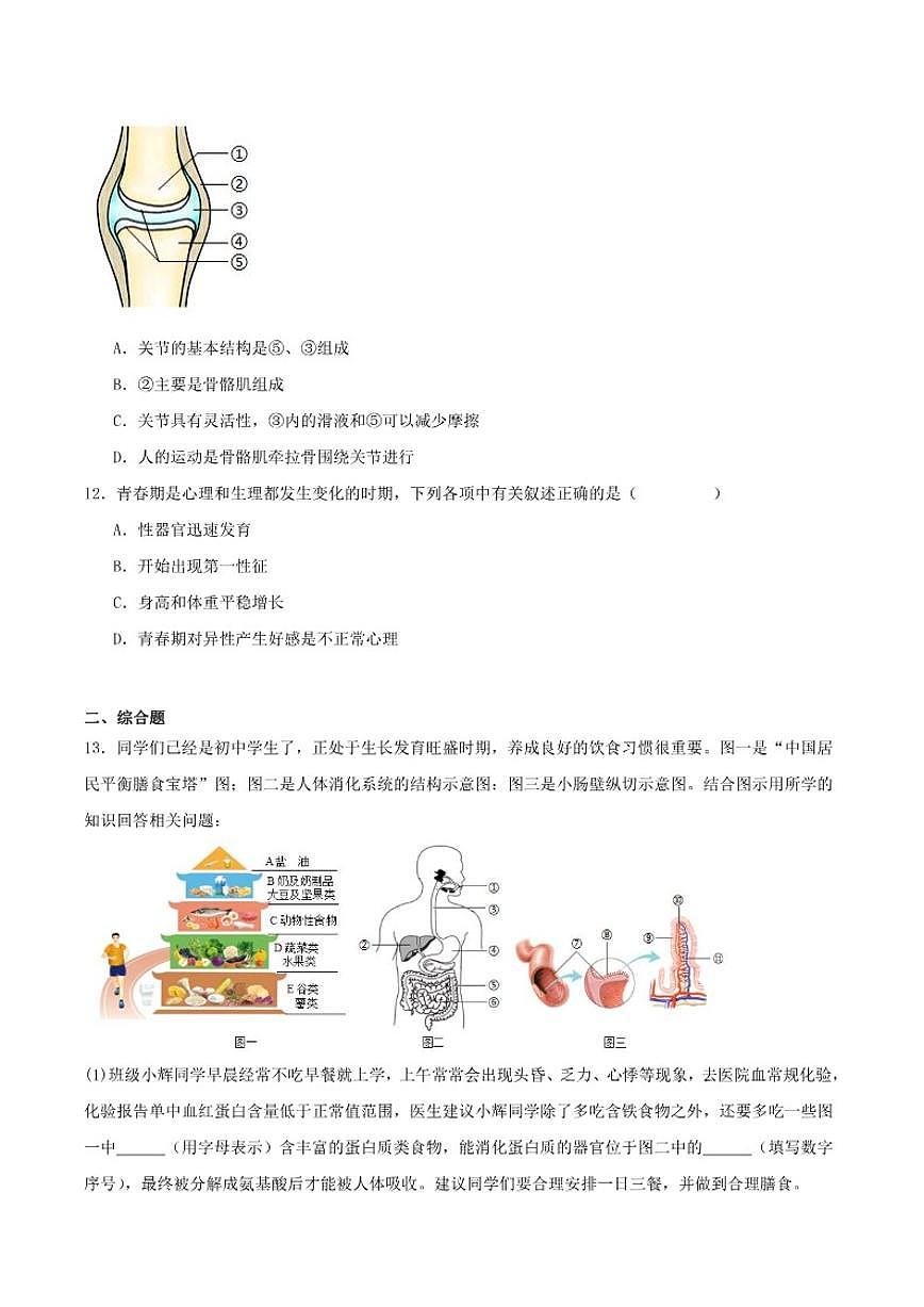 2025-2026学年辽宁省辽阳市八年级上学期期末考试生物（含答案）试卷第3页