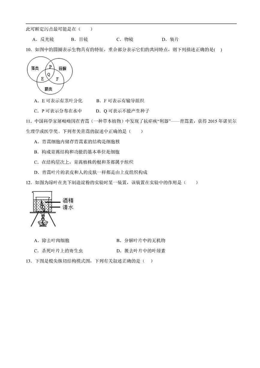 2025-2026学年广东省湛江市雷州市第八中学教育集团七年级上学期12月月考生物试题（含答案）第2页