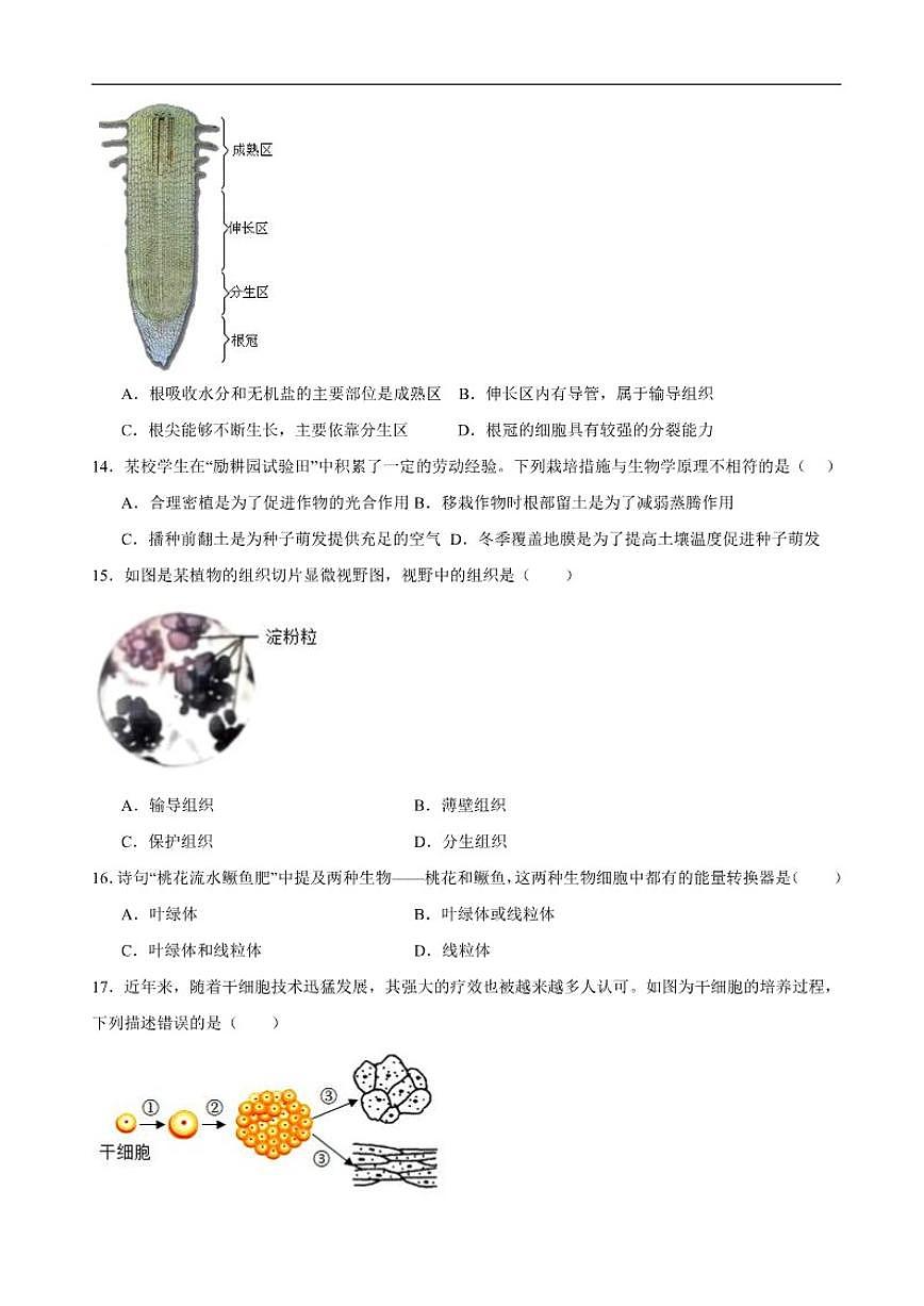 2025-2026学年广东省湛江市雷州市第八中学教育集团七年级上学期12月月考生物试题（含答案）第3页