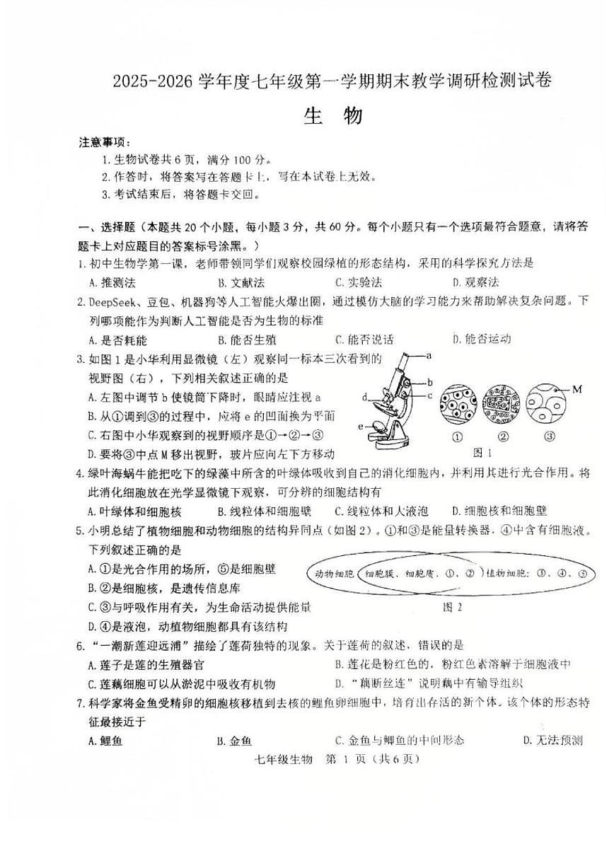 2025-2026学年内蒙古包头市昆都仑区七年级上学期期末考试生物_(含答案_)试卷第1页