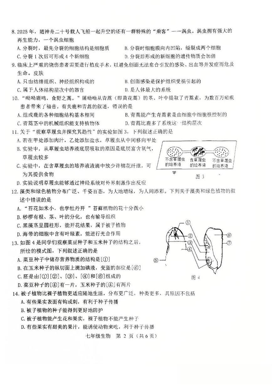 2025-2026学年内蒙古包头市昆都仑区七年级上学期期末考试生物_(含答案_)试卷第2页