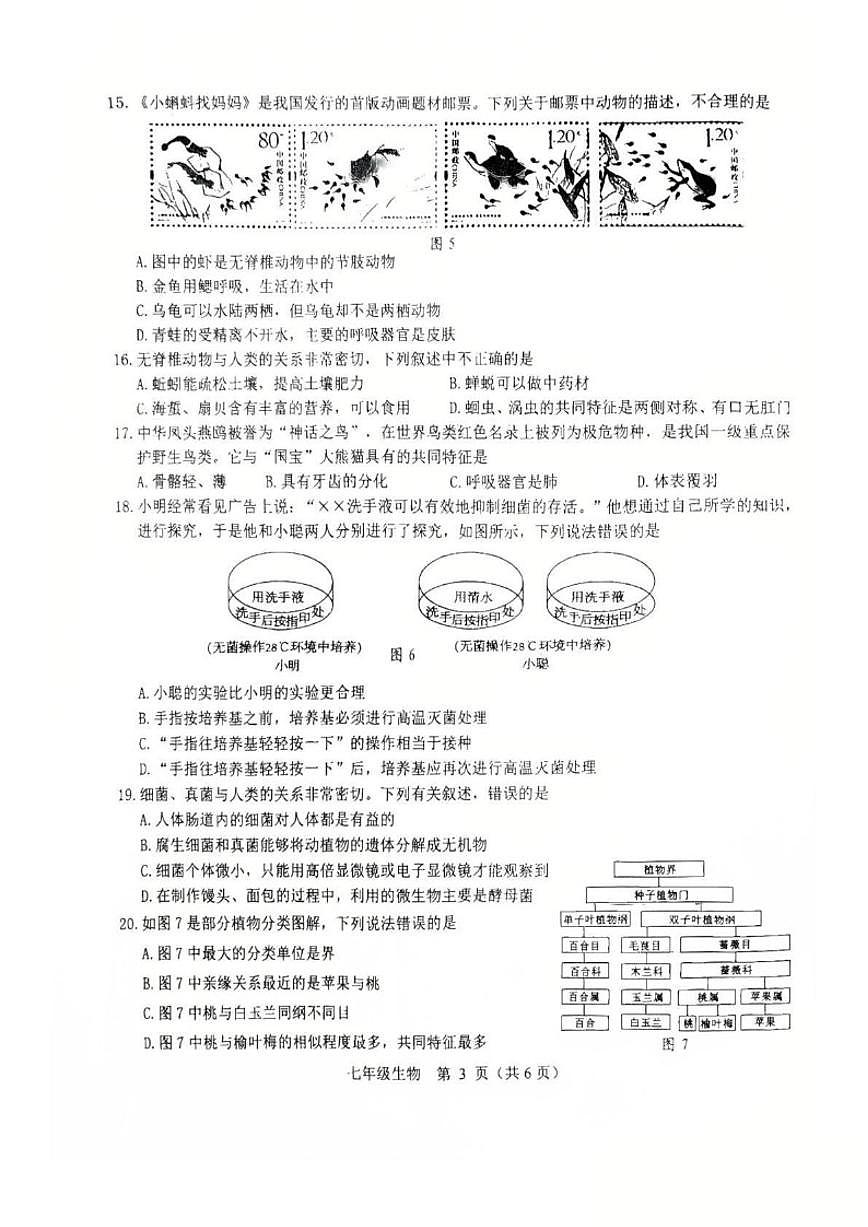 2025-2026学年内蒙古包头市昆都仑区七年级上学期期末考试生物_(含答案_)试卷第3页