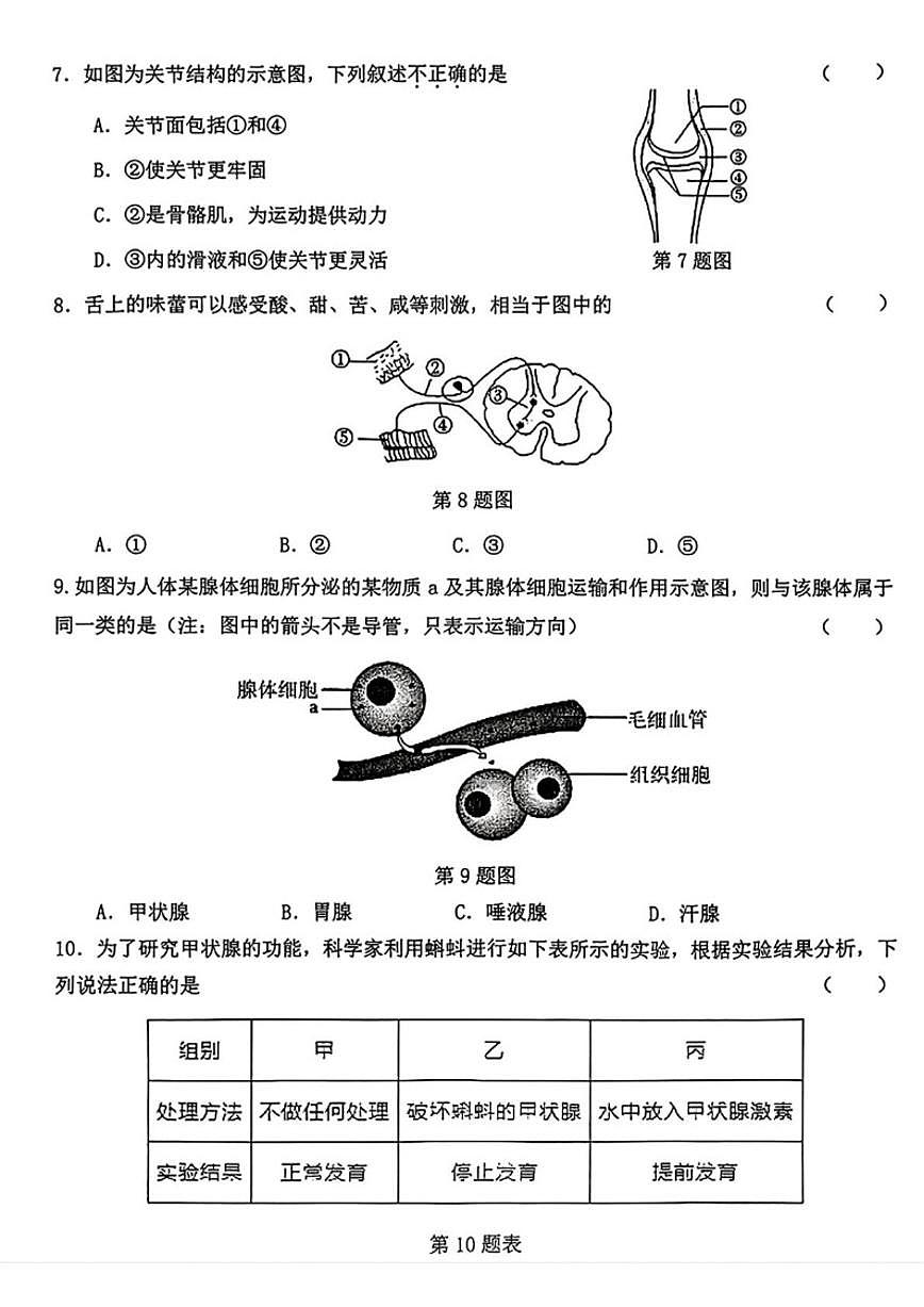 2025-2026学年辽宁省沈阳市沈北新区八年级上学期期末考试生物试题_(含答案_)第2页