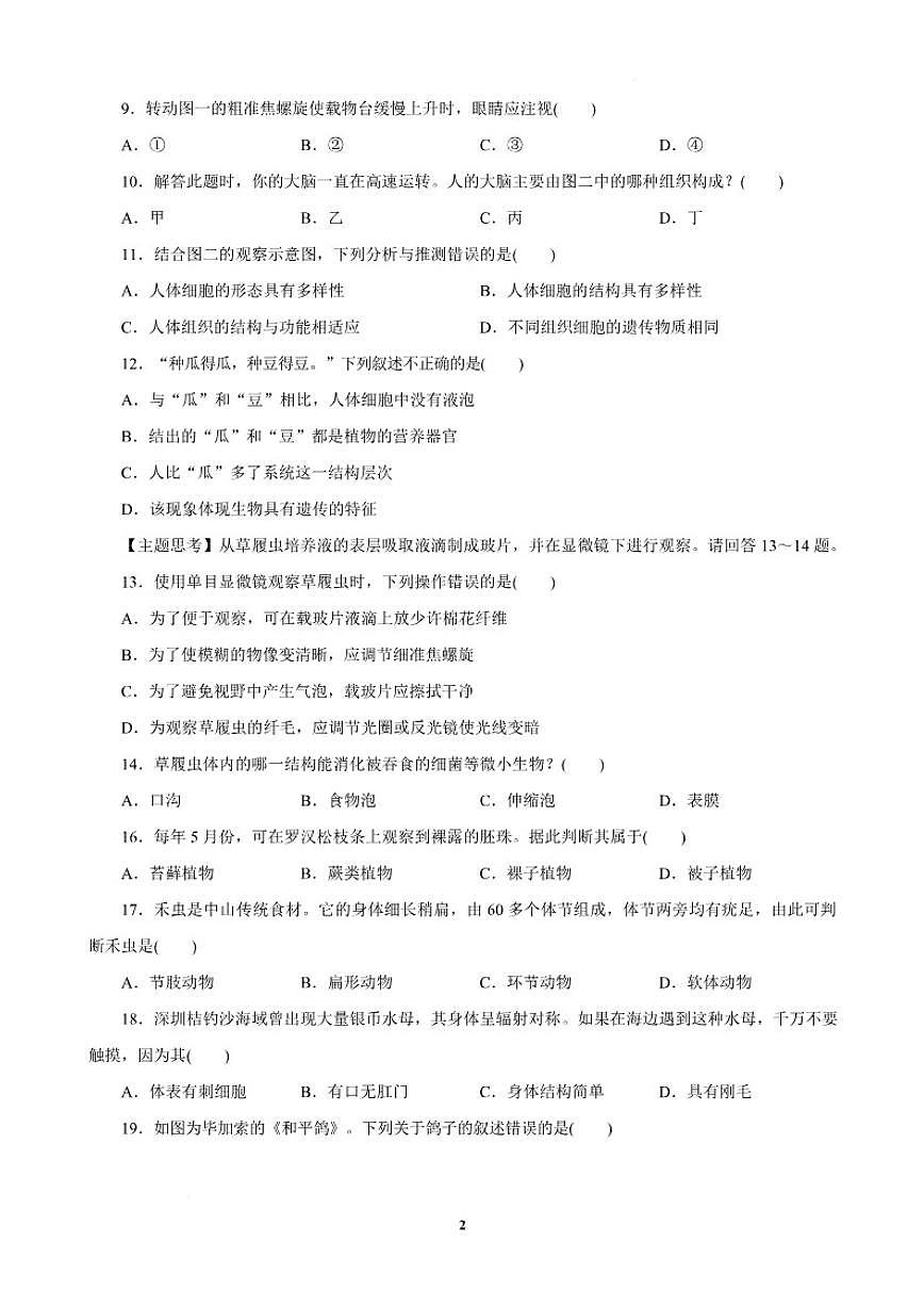 2025-2026学年广东省汕头市潮南区七年级上学期1月期末生物试题（含答案）第2页
