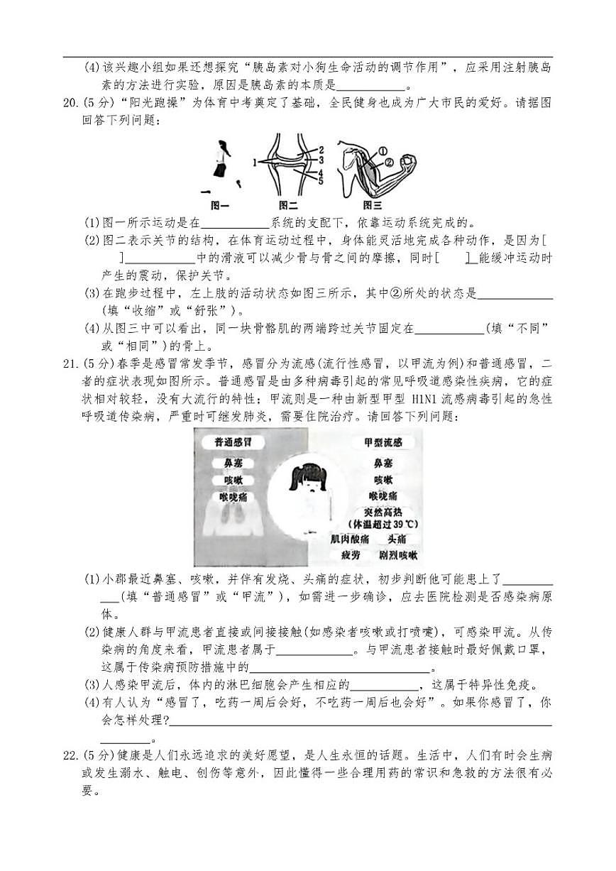 2025-2026学年甘肃省定西市岷县八年级上学期期末生物试卷（含答案）第3页