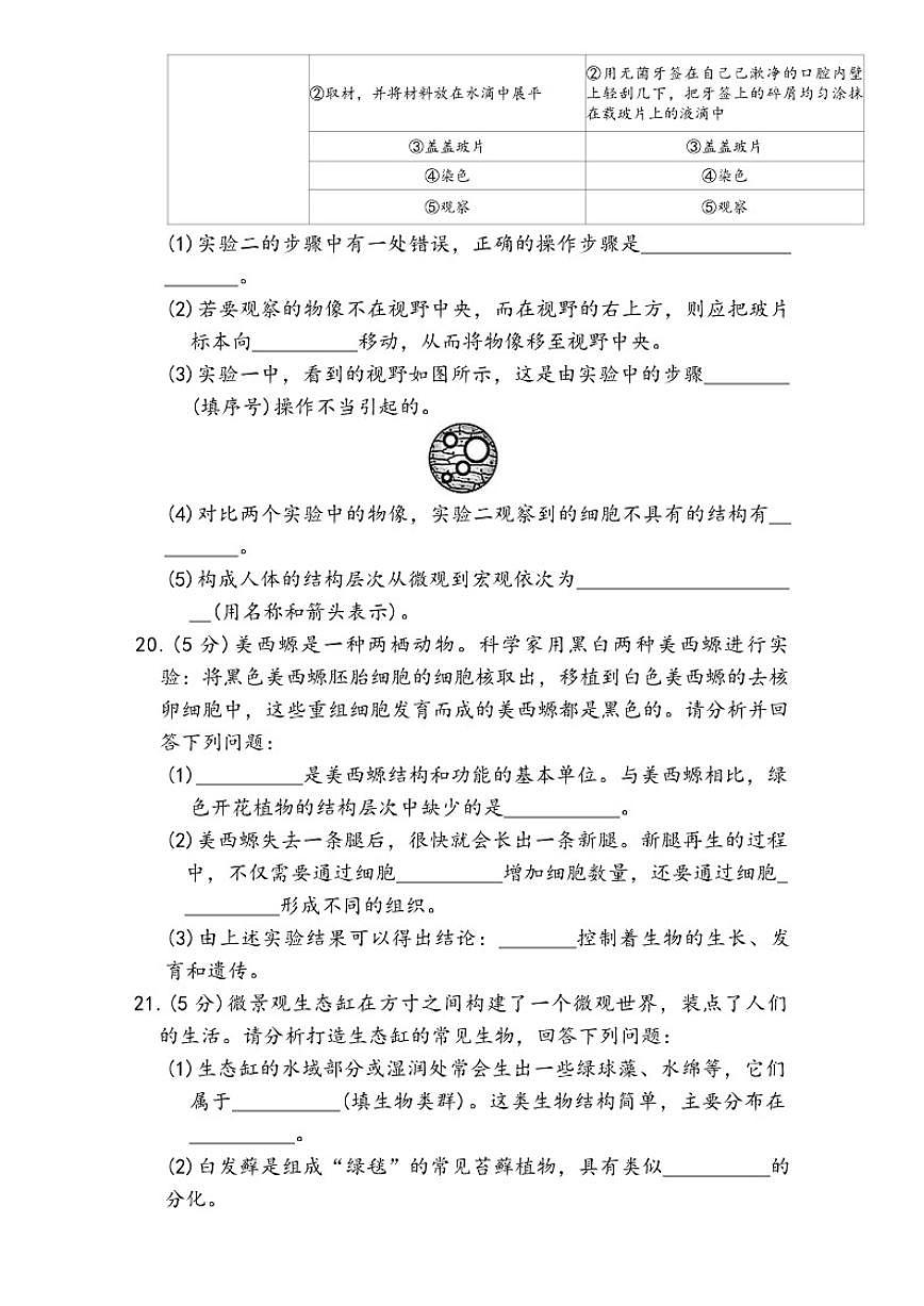 2025-2026学年甘肃省定西市岷县上学期七年级期末生物学试卷（含答案）第3页