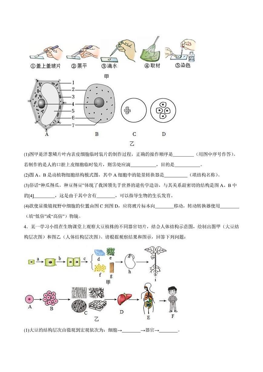 2025-2026学年宁夏回族自治区银川市第一中学七年级上学期期末考试生物试卷（含答案）第2页