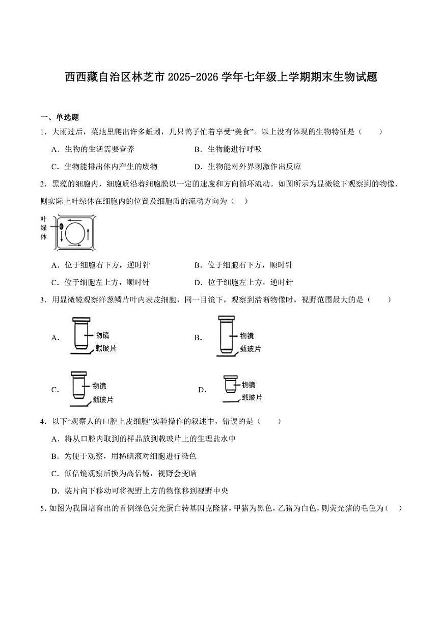 2025-2026学年西藏自治区林芝市七年级上学期12月期末考试生物试卷（含答案）第1页