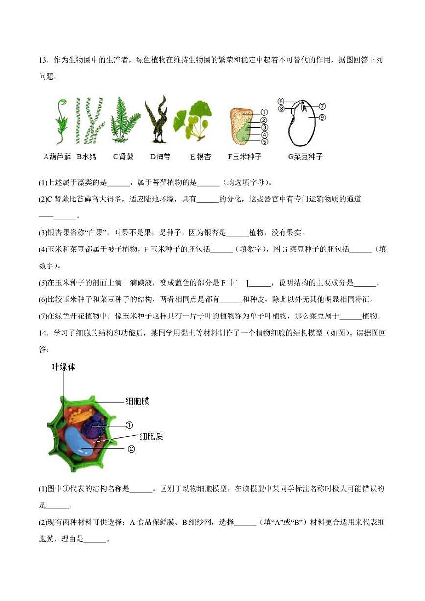 2025-2026学年西藏自治区林芝市七年级上学期12月期末考试生物试卷（含答案）第3页