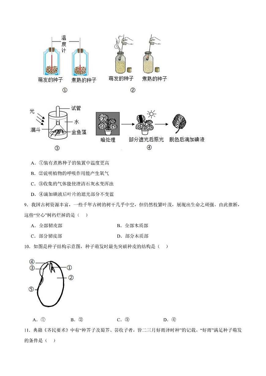 2025-2026学年辽宁省抚顺市新宾满族自治县七年级上学期1月期末考试生物试卷（含答案）第2页