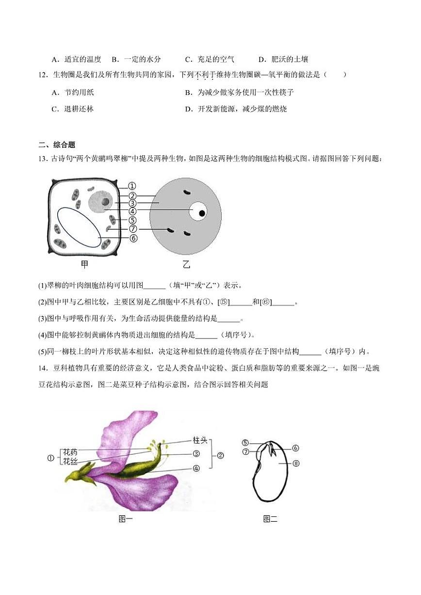 2025-2026学年辽宁省抚顺市新宾满族自治县七年级上学期1月期末考试生物试卷（含答案）第3页