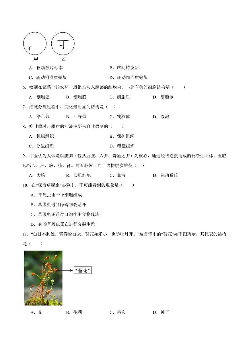 2025-2026学年吉林省长春市朝阳区七年级上学期1月期末考试生物试卷（含答案）第2页