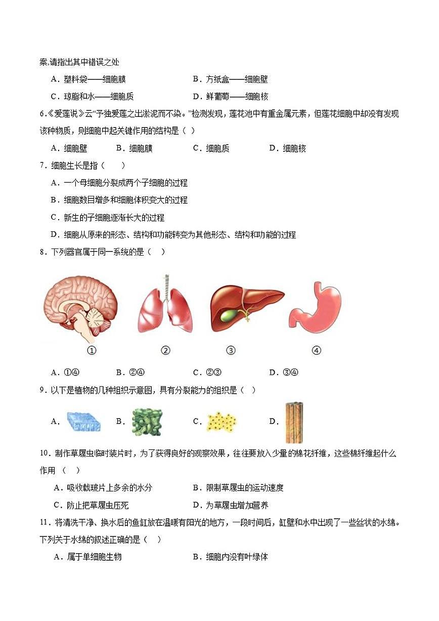 2025-2026学年安徽省安庆市桐城市部分校联考七年级上学期1月月考生物试卷（含答案）第2页