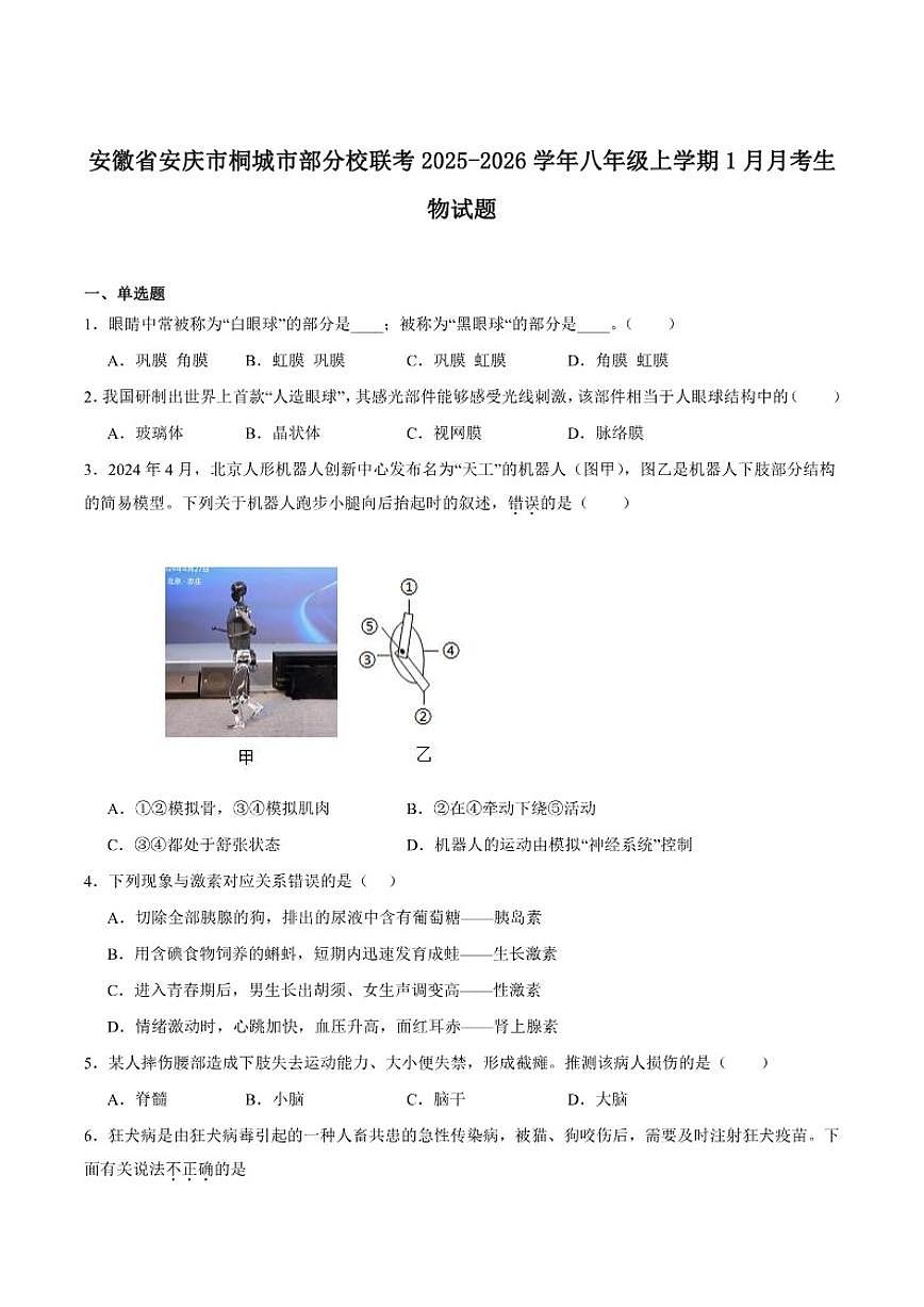 2025-2026学年安徽省安庆市桐城市部分校联考八年级上学期1月月考生物试卷（含答案）第1页