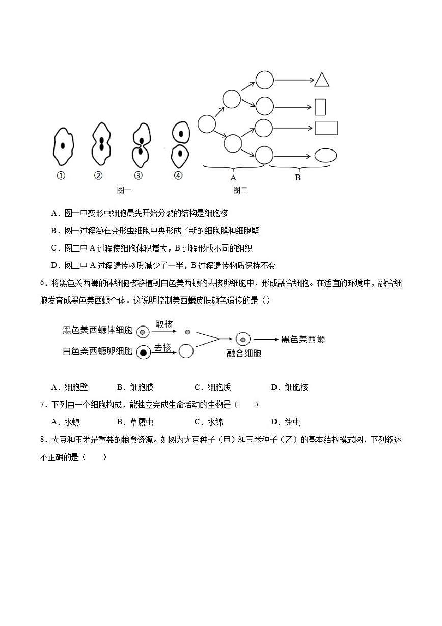 2025-2026学年吉林省吉林市永吉县七年级上学期期末测试生物试卷（含答案）第2页