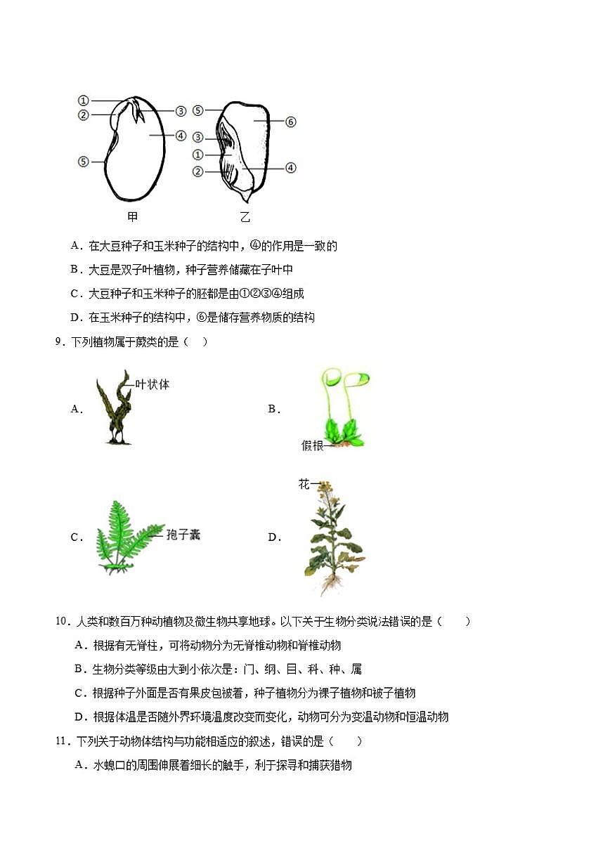 2025-2026学年吉林省吉林市永吉县七年级上学期期末测试生物试卷（含答案）第3页