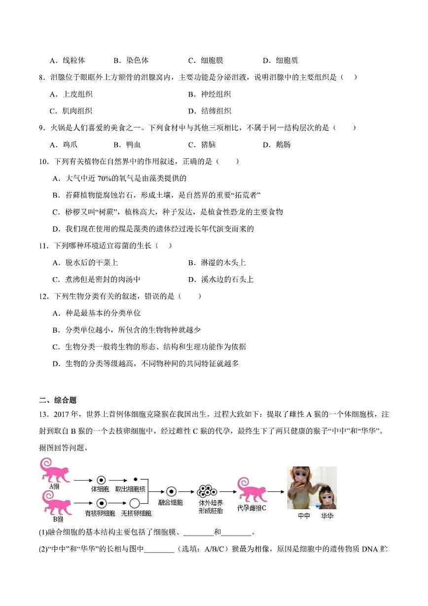 2025-2026学年辽宁省丹东市东港市七年级上学期期末质量监测生物试卷（含答案）第2页