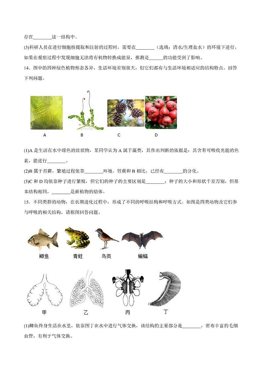 2025-2026学年辽宁省丹东市东港市七年级上学期期末质量监测生物试卷（含答案）第3页