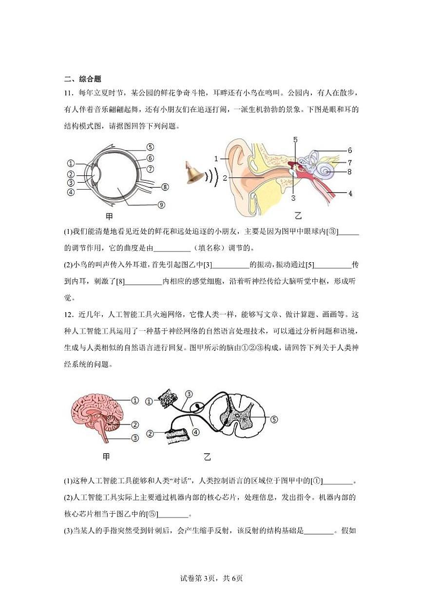2025-2026学年八年级上学期期末生物1月综合复习作业试题（含答案）第3页