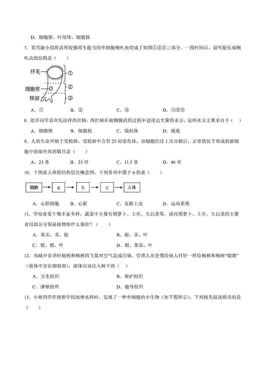 2025-2026学年吉林省松原市前郭尔罗斯蒙古族自治县七年级上学期1月期末考试生物试卷（含答案）第2页
