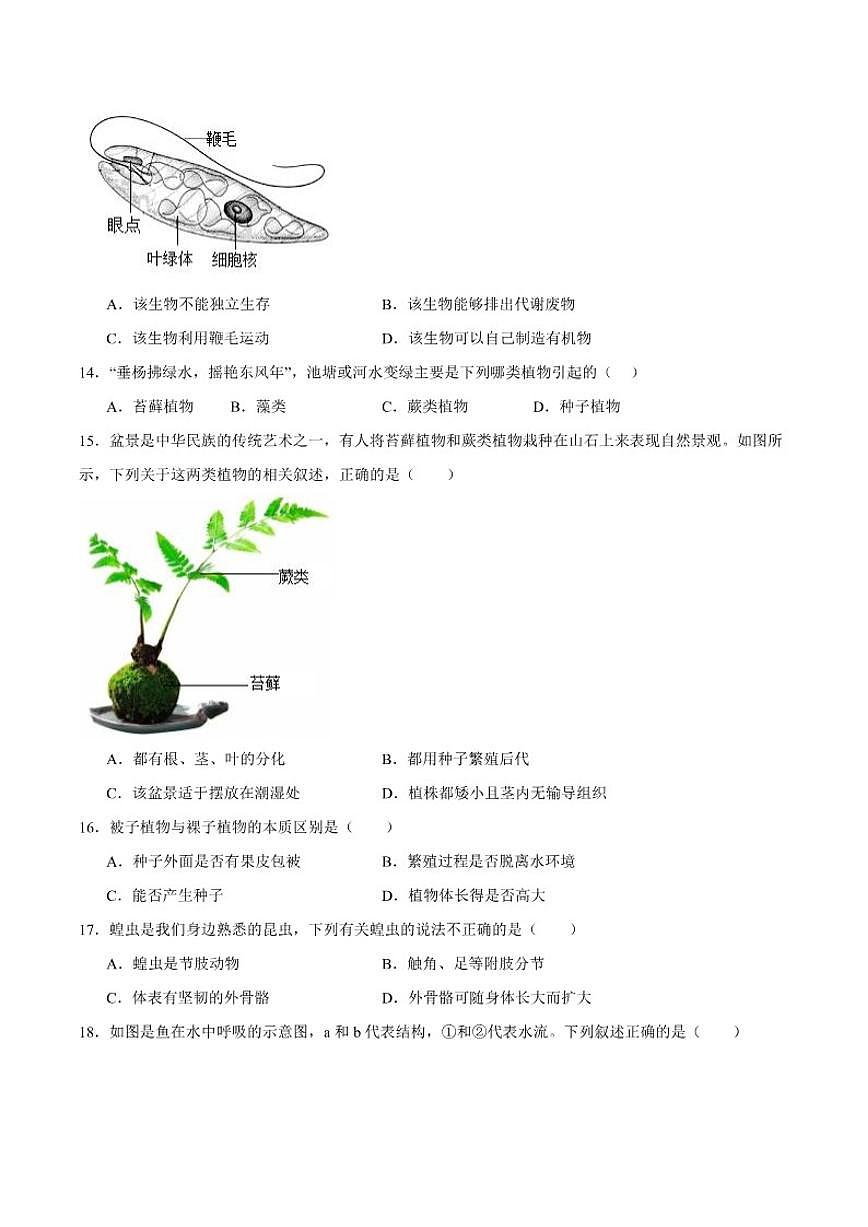 2025-2026学年吉林省松原市前郭尔罗斯蒙古族自治县七年级上学期1月期末考试生物试卷（含答案）第3页