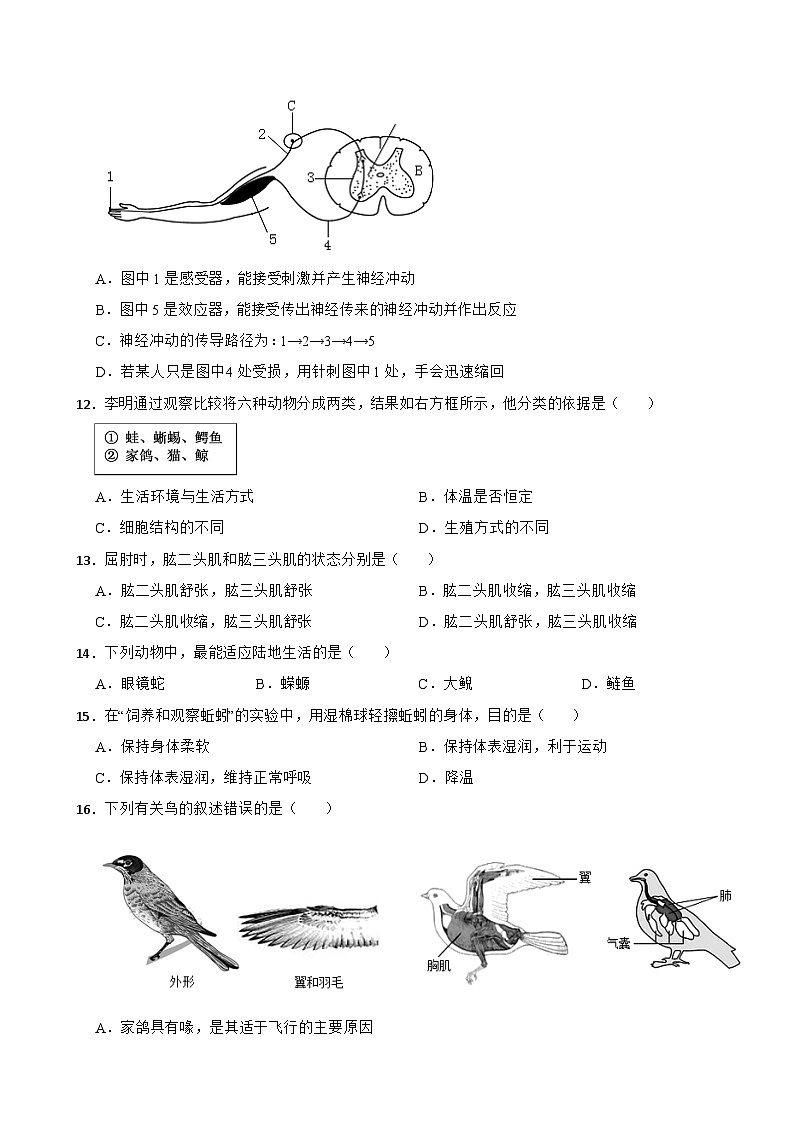 2026年天津市红桥区中考生物模拟预测生物试题附答案第2页
