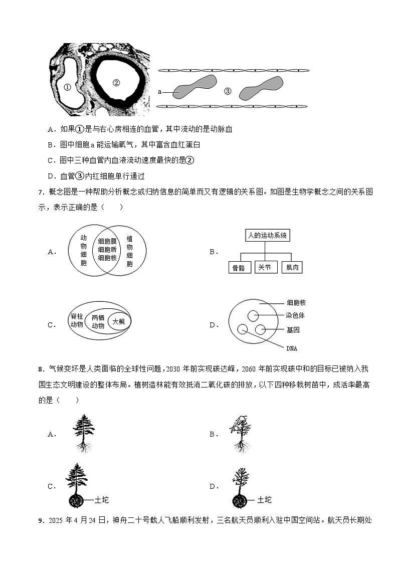 甘肃省陇南市西和县2026年中考二模生物试题附答案第2页