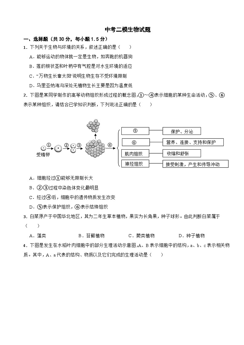 甘肃省武威市凉州区2026年中考二模生物试题附答案第1页