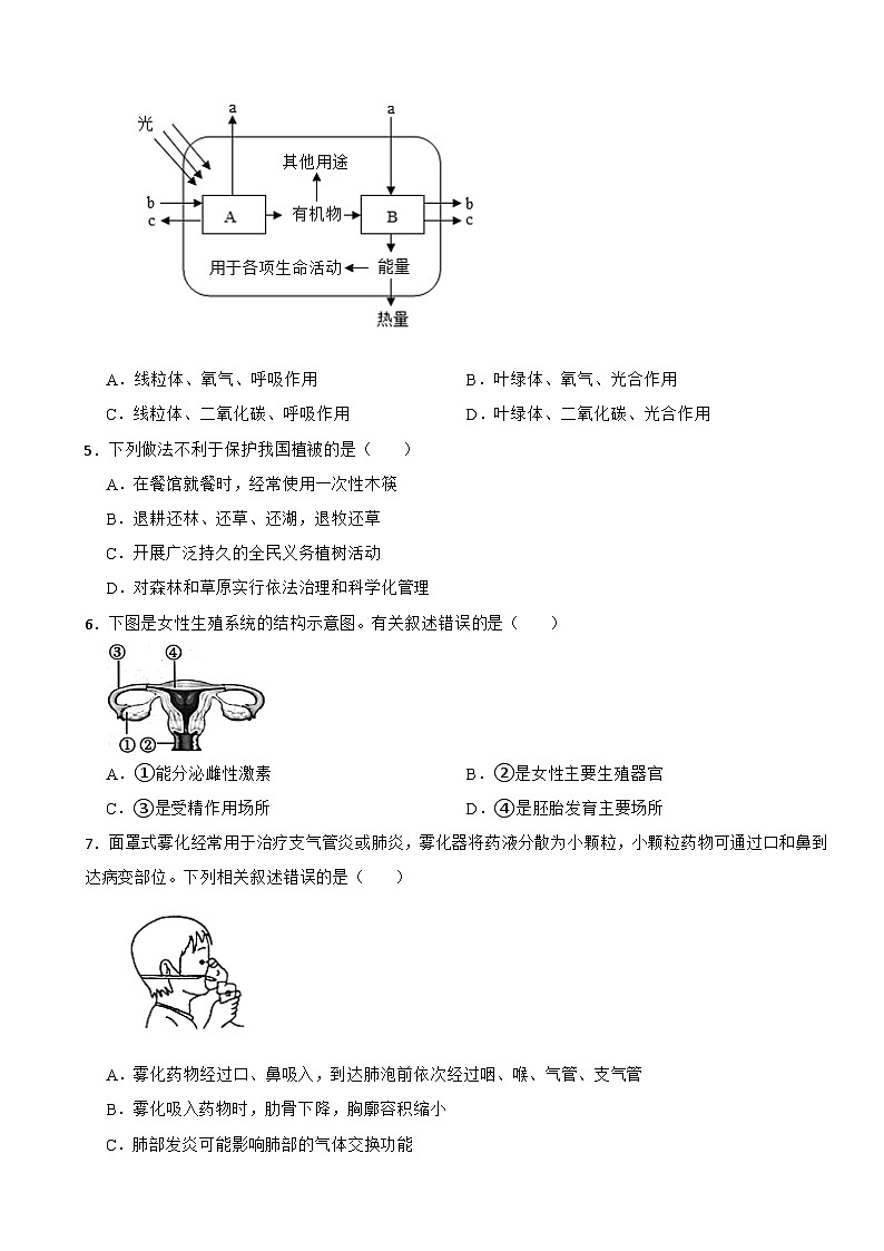 甘肃省武威市凉州区2026年中考二模生物试题附答案第2页