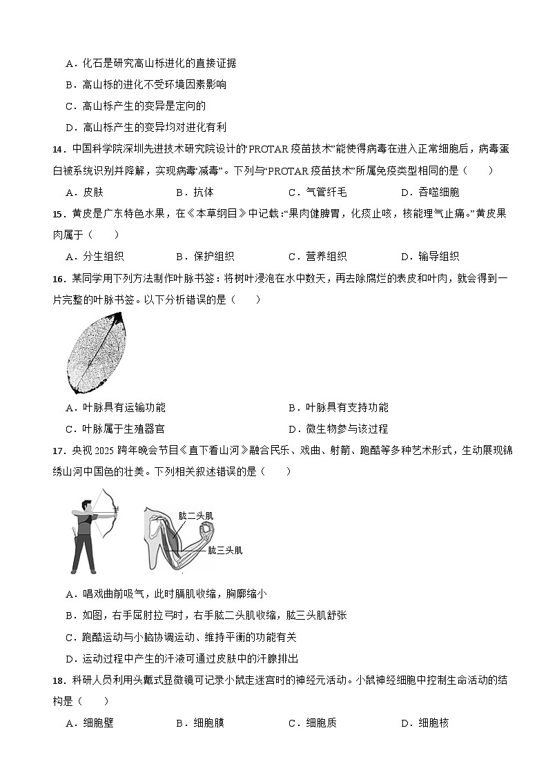 广东省潮州市2026年中考四模生物试题附答案第3页