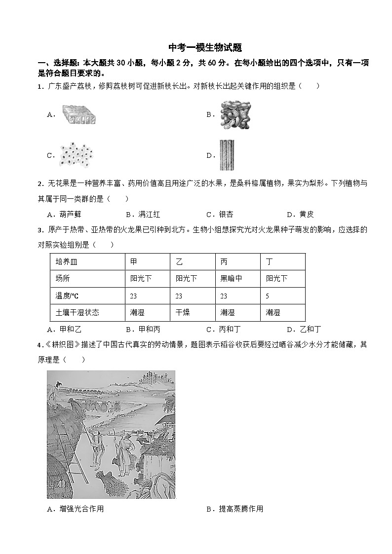 广东省汕头市潮阳区2026年中考一模生物试题附答案第1页