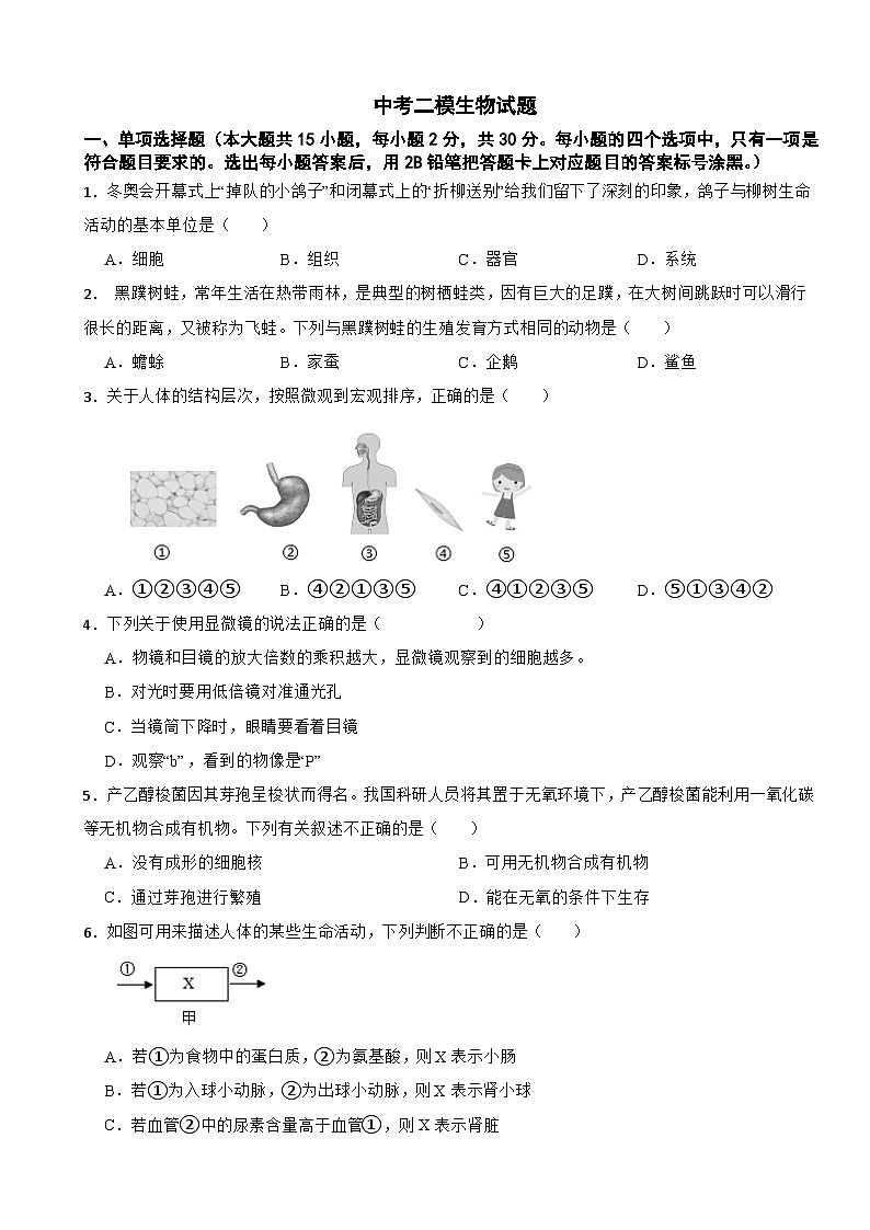 广西壮族自治区贺州市2026年中考二模生物试题附答案第1页