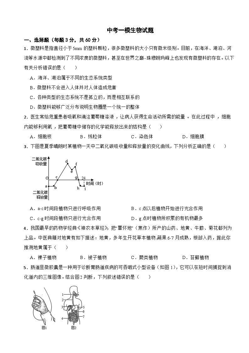 四川省宜宾市长宁县2026年中考一模生物试题附答案第1页