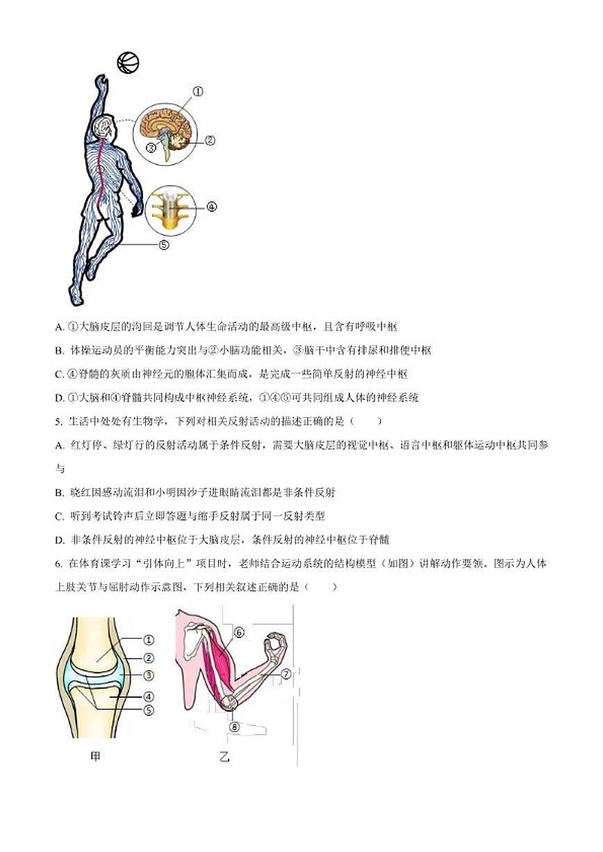 2025-2026学年安徽省合肥市庐江县八年级上学期期末生物学A（无答案）试题第2页