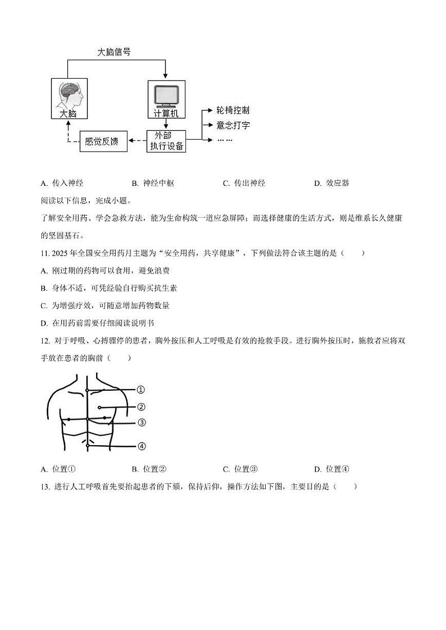 2025-2026学年山东省青岛市市北区八年级上学期期末生物学（无答案）试题第3页