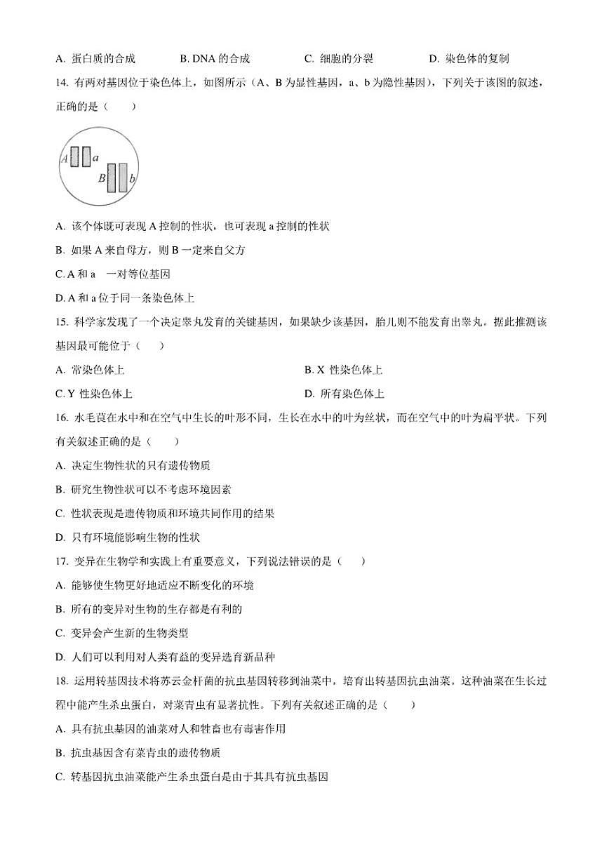 2025-2026学年安徽淮北市八年级上学期期末生物（无答案）试题第3页