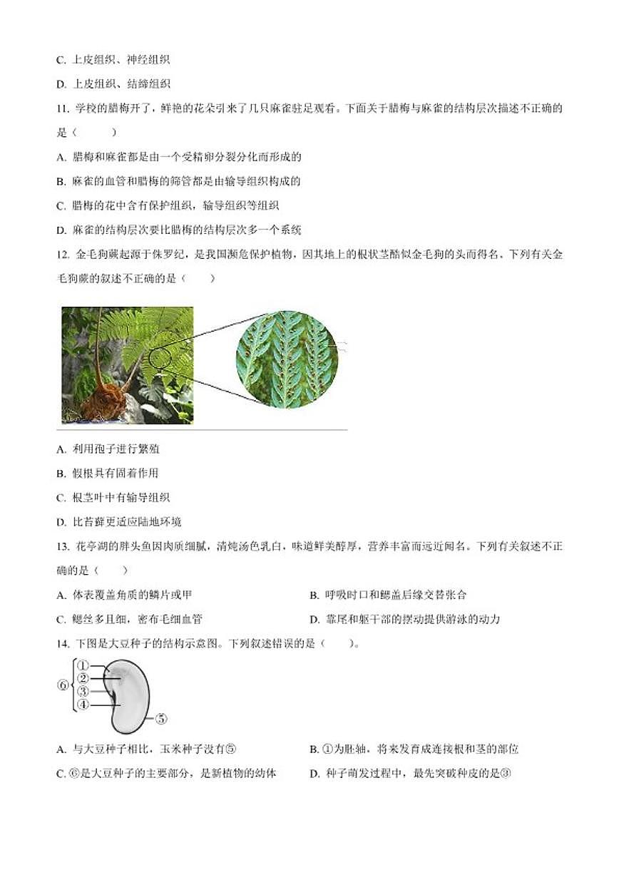 2025-2026学年安徽省安庆市太湖县七年级上学期期末生物学（无答案）试题第3页